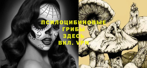 apvp Аркадак