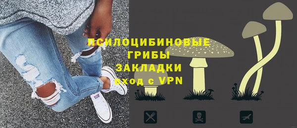 apvp Аркадак